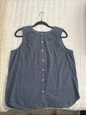 LOFT Blue Check Sleeveless Henley